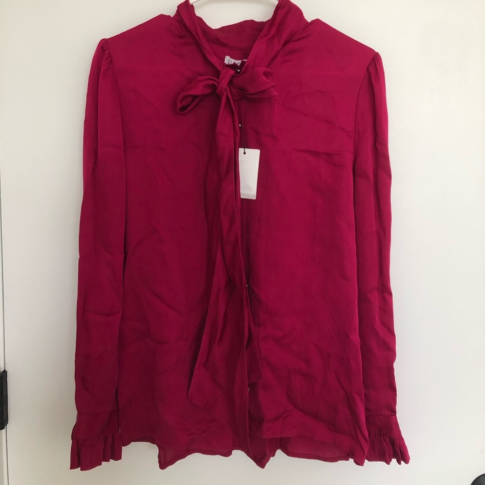 Pink Blouse